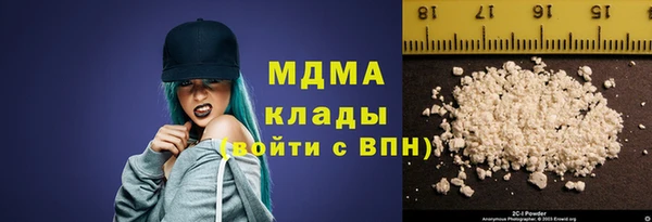 хмурый Аркадак