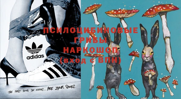 стаф Волгодонск