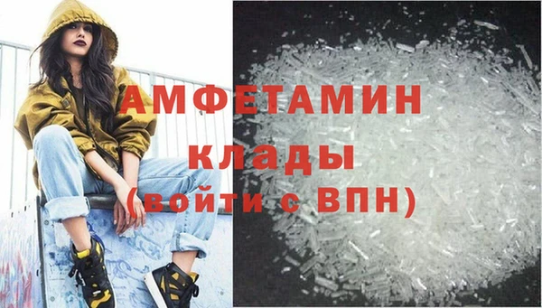 хмурый Аркадак
