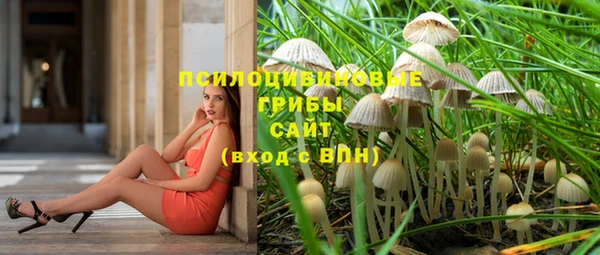 шишки Уссурийск