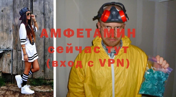 хмурый Аркадак