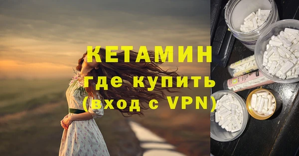 хмурый Аркадак