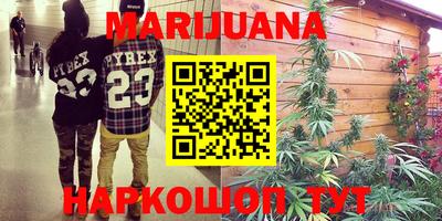 apvp Бийск