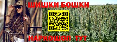 apvp Бийск