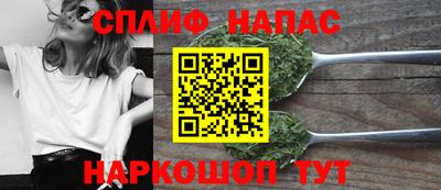 apvp Бийск