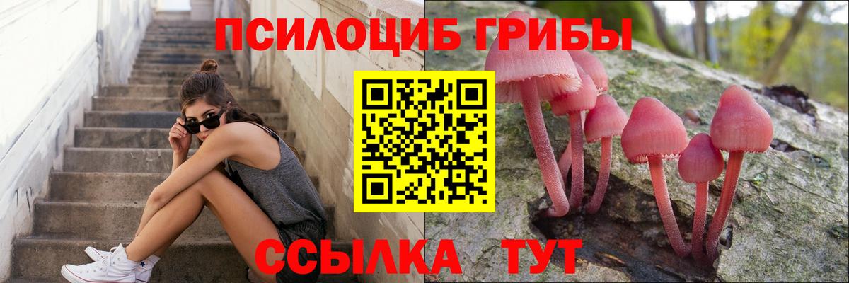 Псилоцибиновые грибы Psilocybine cubensis Вичуга